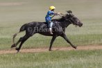 Naadam - Khui Doloon Khudag Fields, 5 years old horse race