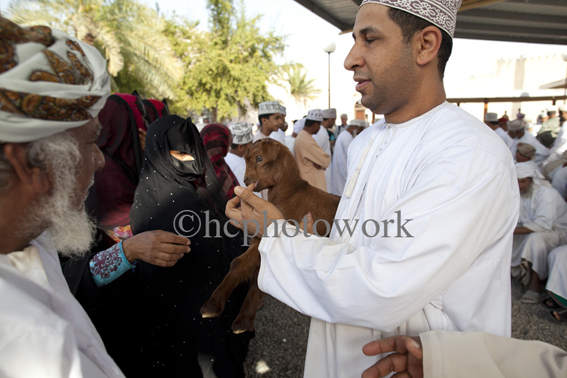 _MG_8767 Niswa, Oman ©hcphotowork