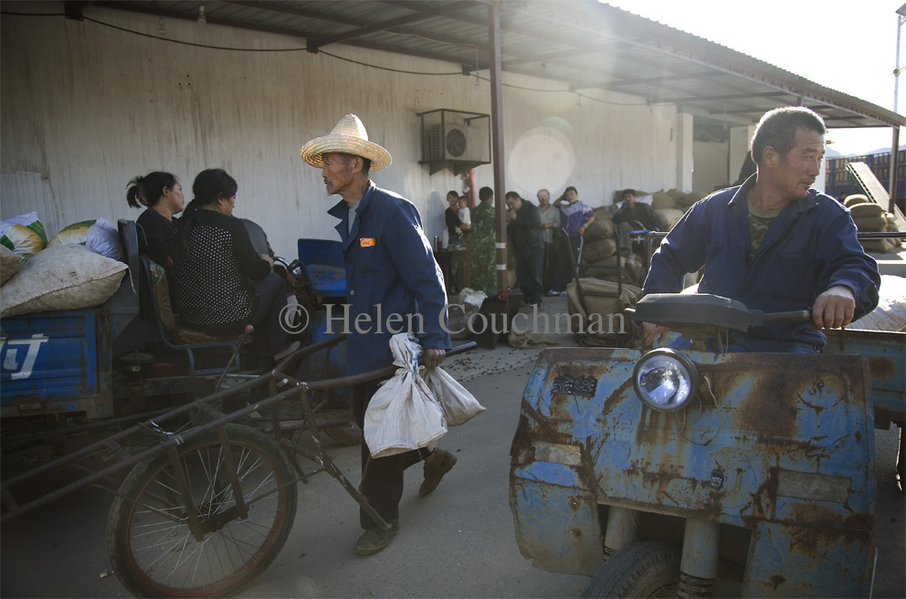 _MG_7757 Chestnut farmers north of Beijing © Helen Couchman