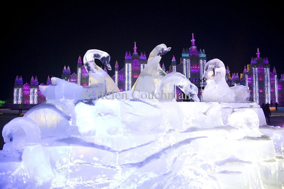 Ice swans, -45Àö