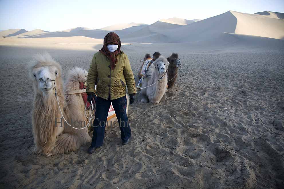 T2496x1664-14630 Camels and rider, sand dunes, Gansu China © Helen Couchman